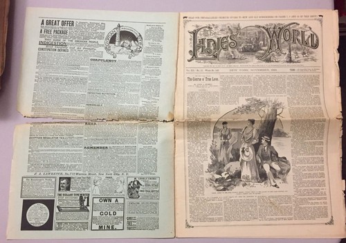 RARE Nov. 1891 LADIES WORLD Magazine w/ FAT vs THIN cover AD Bicycles Pianos ADS - Picture 2 of 5