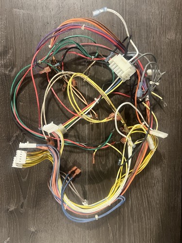Sta-Rite Pentair Gas heater Wire Harness Used Only B5