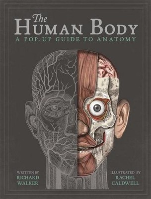The Human Body: A Pop-Up Guide to Anatomy Richard Walker