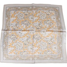 Unisex Paisley Print 100 Mulberry Silk Shawl Scarf Necktie Kerchief 21" 21"
