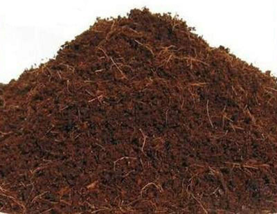 HYDROPONIC GROWING MEDIA COCONUT FIBER coco coir natural peat greenhouse 0.3 MED