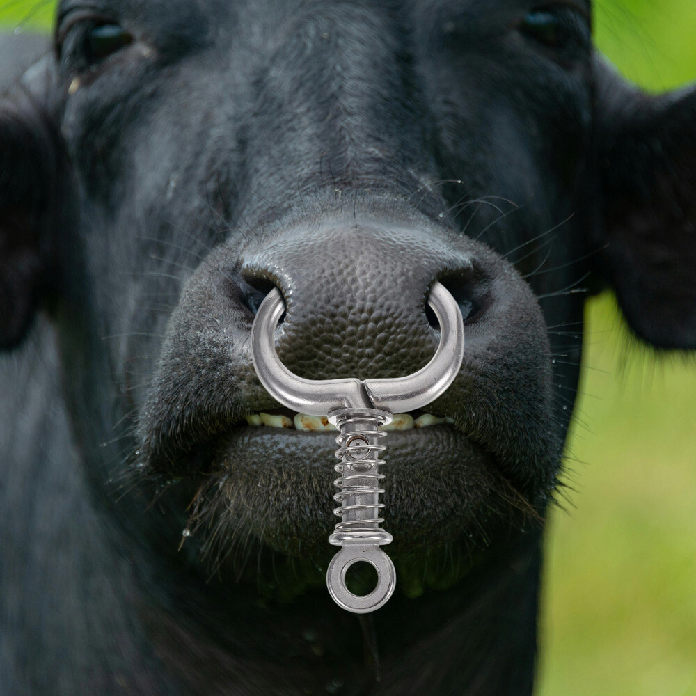 Piercing Bull Nose Pin Bull Ring Piercing Name Bull Piercing Men