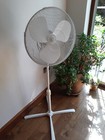 Bild 3 von 3