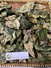 Daun Awar Awar ( Ficus Septica ) White-veined Fig Dried Leaves