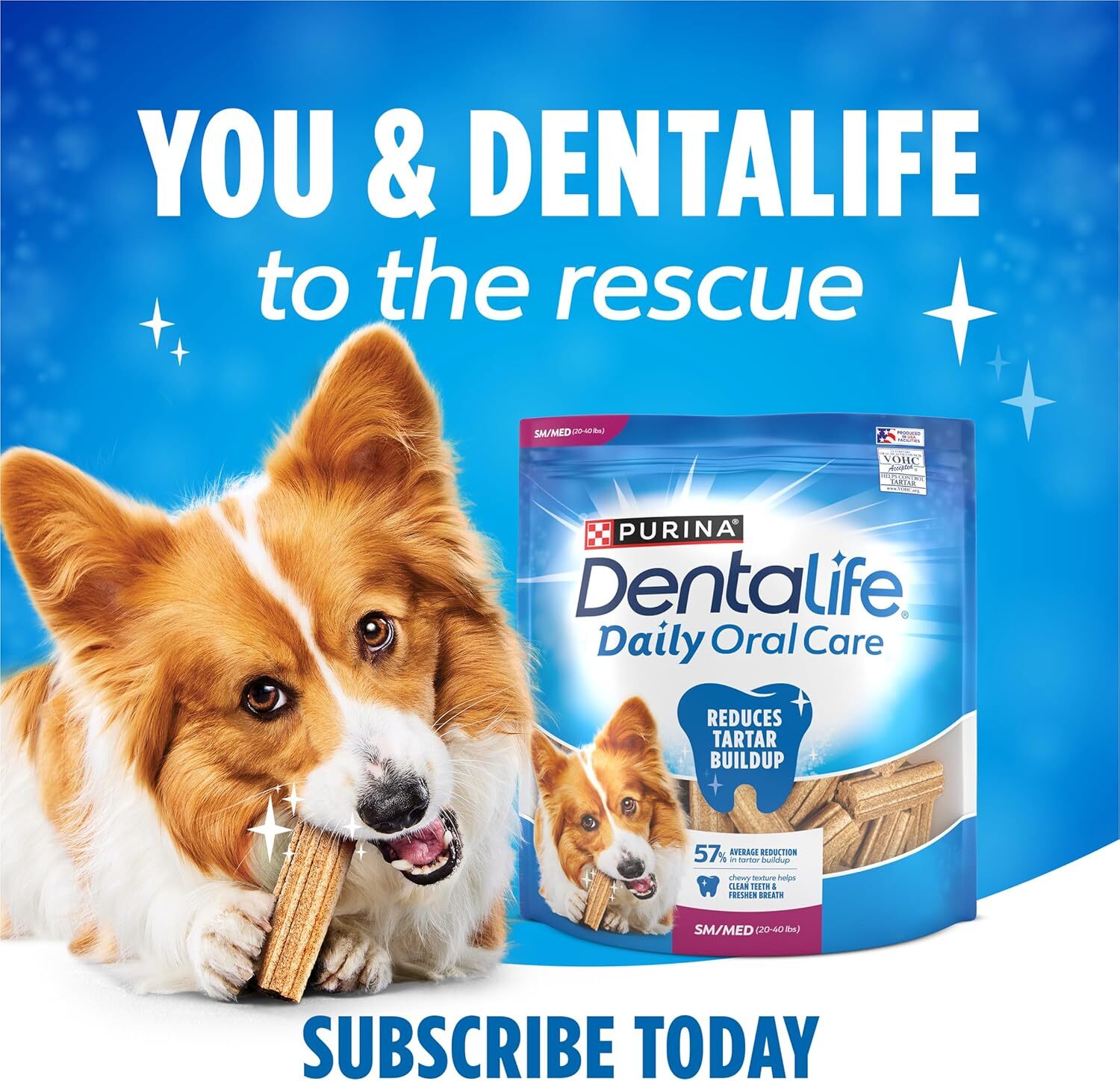 Purina Dentalife Daily Oral Care Chicken Flavor Small/Medium Breed Dog Dental 40