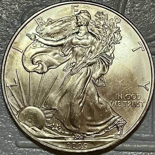 2009 Silver Eagle $1 Dollar 1oz Uncirculated .999 Silver. Toned.