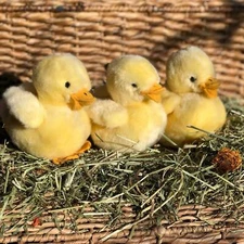 3 Baby Plush Ducklings- Stuffed Plush Animals