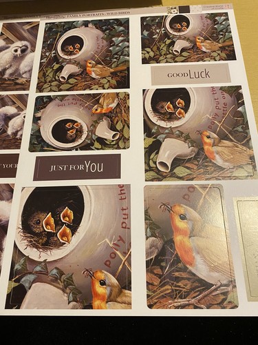 Pollyanna Pickering - Wild Birds - 12 Sheets Die Cut Toppers In 7 Designs - Picture 6 of 8