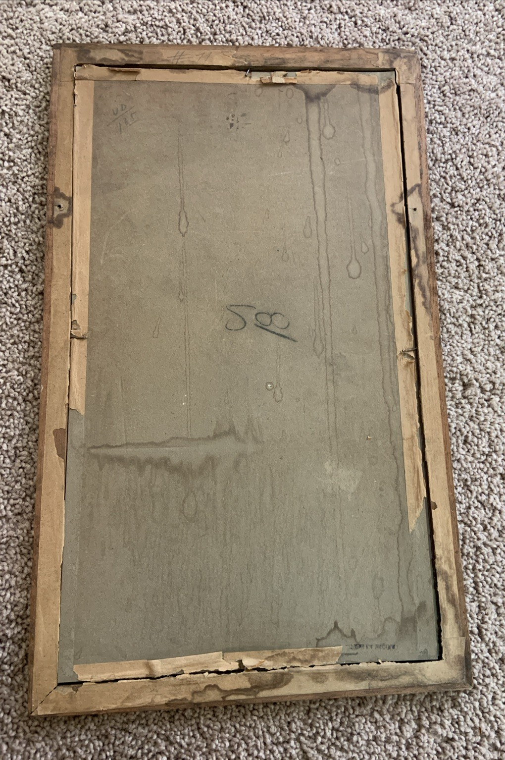 Picture 6 of 6