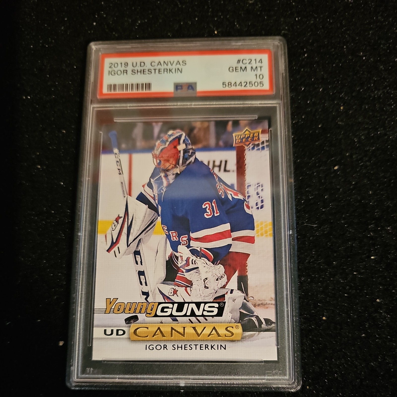 2019 Upper Deck UD Canvas Young Guns Igor Shesterkin #C214 PSA 10 Rookie RC 08ly