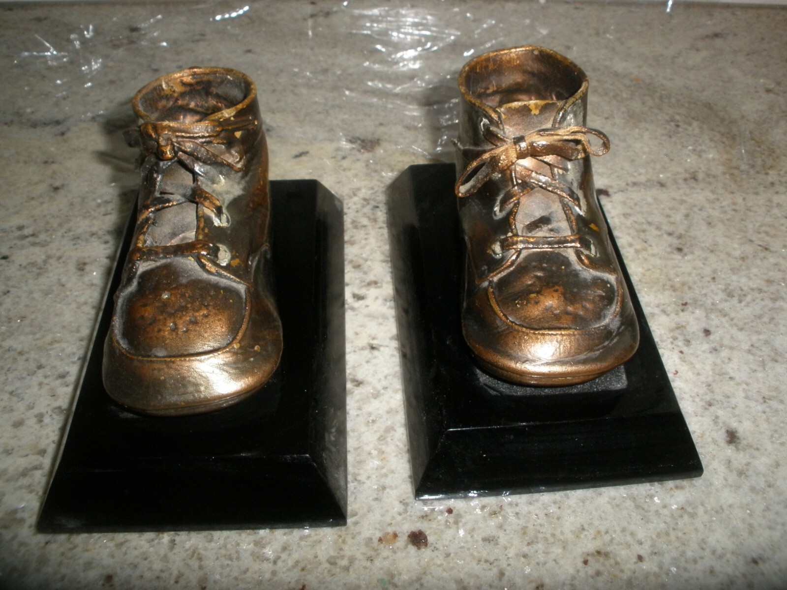 Preserved Into Set Of Bookends (su88)