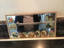 Vintage Retro Small Mirror W/ 1950’s Stickers around edge indian boat horse 