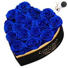 Casaido Preserved Roses Flowers for Delivery 16 Pcs, Vanlentines Day Gifts for