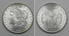 X7480  1884 Morgan Dollar, Choice BU