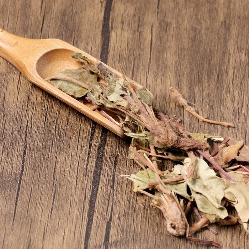 Органические травяные Ainsliaea Glabra Hemsl. Отличное качество