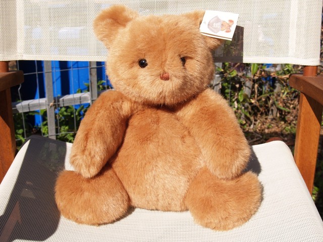 nice teddy bear images