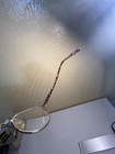 Bild 21 von 24