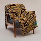 Tiger Stripe African Wild Print Cover Y2k style 90S Animal Fur Throw Blanket
