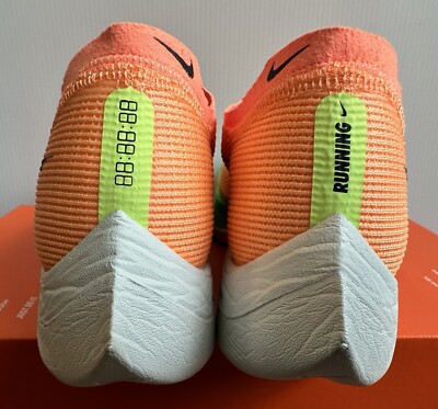 「蜜を吸う二羽の鳥」 【フレームサイズ 52.5×41cm】 とりめがね HN-012 | メガネフレーム (多角形) | メガネのパリミキ