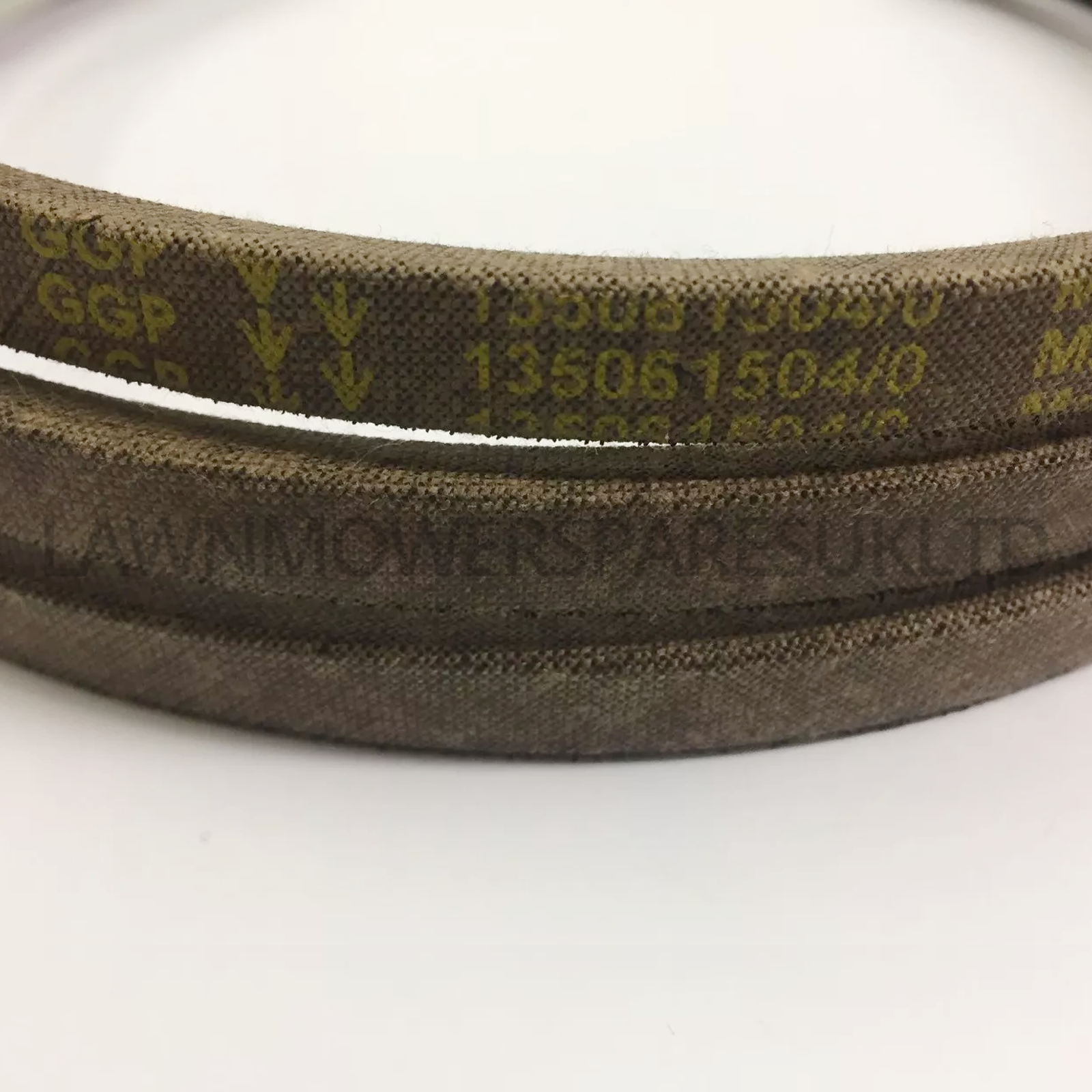 38"" Cutter Deck Belt Fits MOUNTFIELD 1538M-SD 1538H-SD T38M-SD 135061504 Genuine