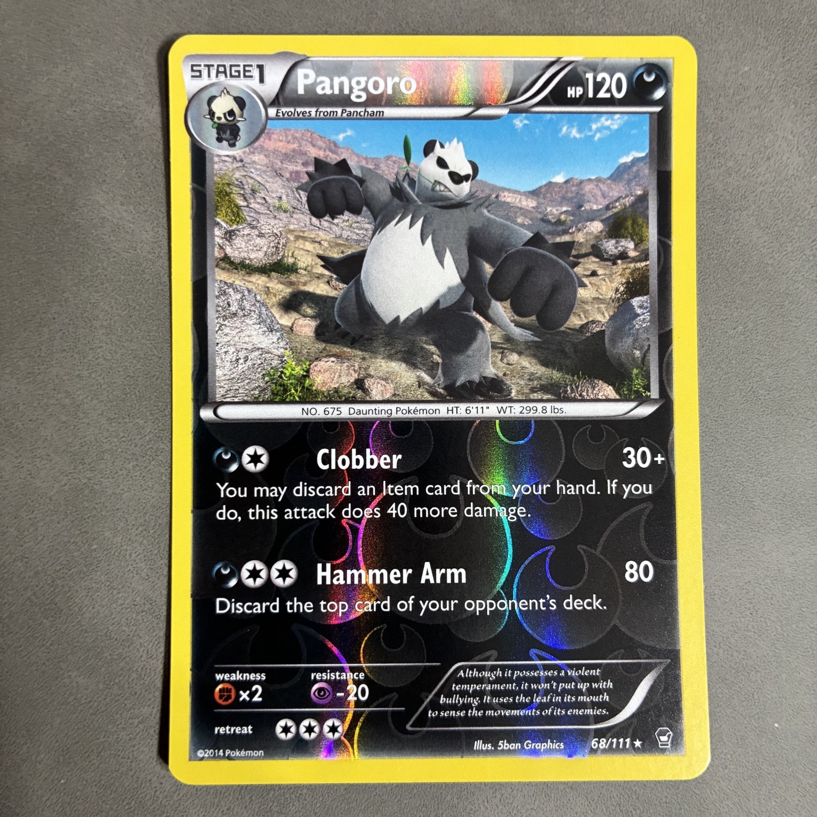 POKEMON TCG PANGORO 68/111 HOLO 2014