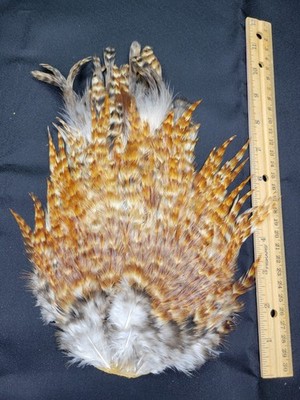 Lot  77,  Grade A,   Natural India Rooster Saddle Feathers for Fly Tying Jewelry