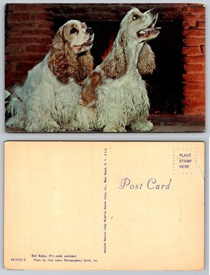 Vintage Cocker Spaniel Dogs Postcard - ''But Baby, It's Cold Outside!''