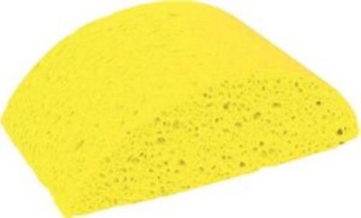 Marshalltown - Turtleback Sponge