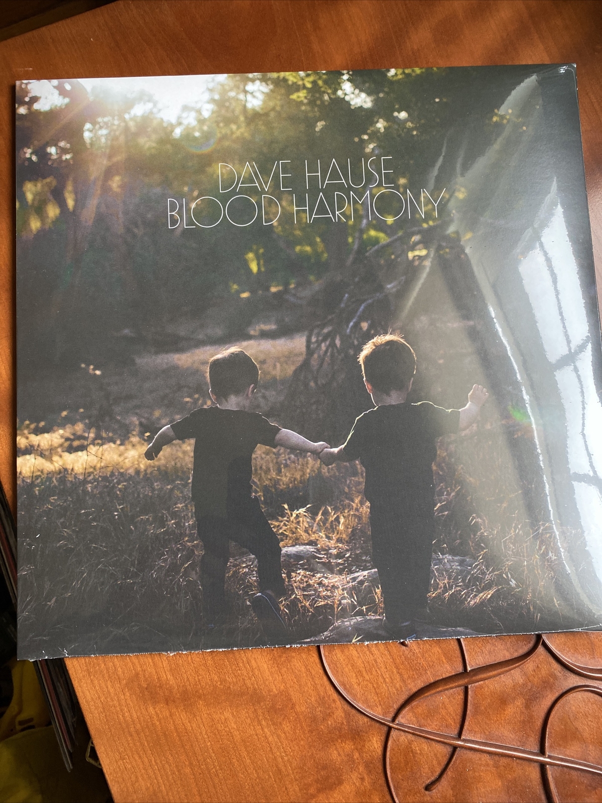 Blood Harmony by Hause, Dave (Record, 2022) for sale online eBay