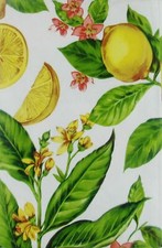 Flowering Lemon Zest Vinyl Flannel Back Tablecloths Various Sizes 