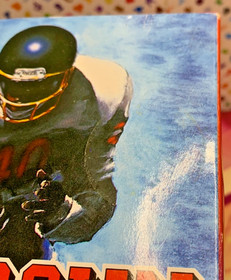 Touchdown Fever NES CIB