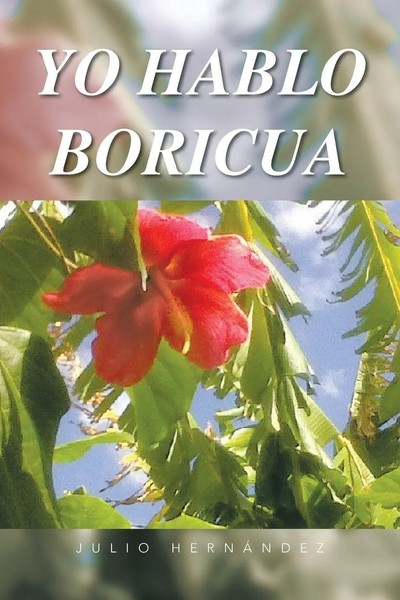 Yo Hablo Boricua Julio Hernandez Taschenbuch Kartoniert / Broschiert Spanisch-image