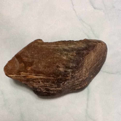 Petrified Wood ●  Ancient  ●  Fossil   ● - Picture 4 of 6
