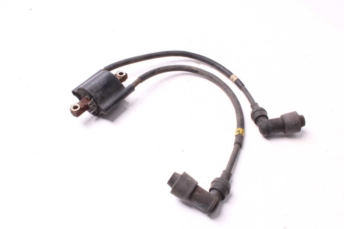 ヨーロピアン 41598_2023_43025_Fig1_HTML.png