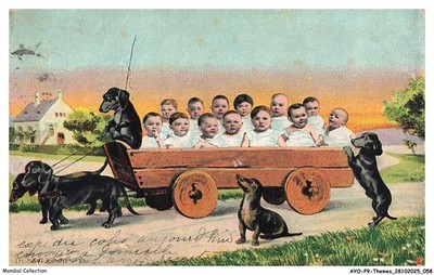 AYOP9-0879 - TIERE - Mehrfachbaby - DACKEL