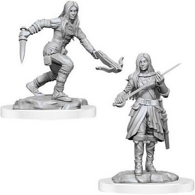 D&D Nolzur's Marvelous Miniatures: medio elfo Rogue Female