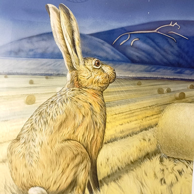 JOANNA MAY Signed Limited Edition  23/250 'Star gazing Hare'