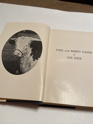 Vintage Buch: Tierarten und Marktklassen: 1947 - Bild 4 von 8