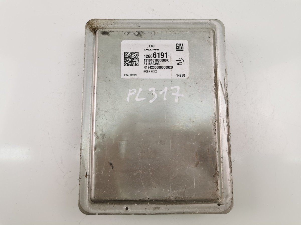 PL317 OPEL Engine Control Unit ECU 12666191 | eBay