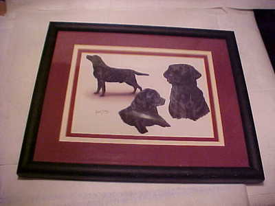Labrador - Robert J. May Multi Study Labrador Retriever  PROFESSIONALLY  FRAMED