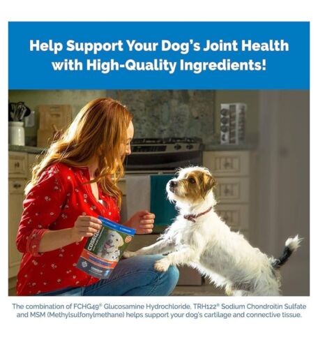 Cosequin DS Plus MSM Joint Health for Dogs - 180 Chewable Tablets 05/26 - Picture 4 of 5