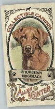 2019 Allen and Ginter Collectible Canines Mini #CC-13 Rhodesian Ridgeback