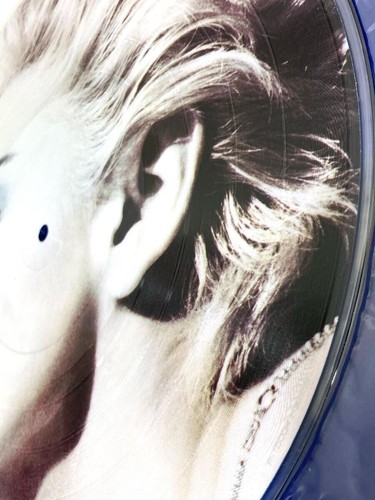 MADONNA TRUE BLUE Japan Picture LP P-15004 VINYL - Picture 9 of 10