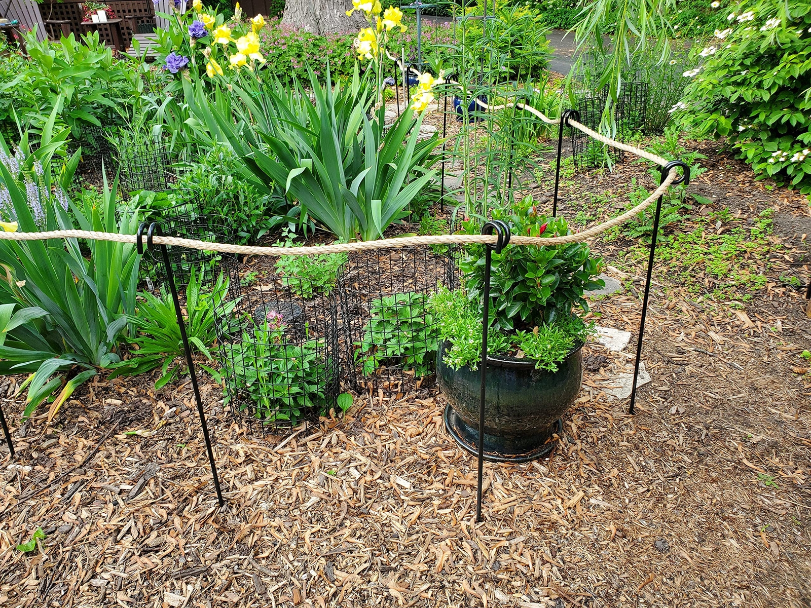 Afbeelding 7 van 8