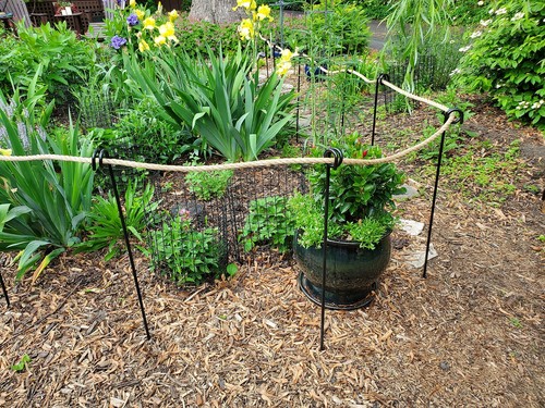 42" Inch, Single Rope Poles/Stakes for Creating a Rope Border Around Flower b... - Afbeelding 7 van 8