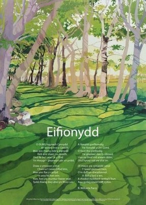 Eifionydd - 9781909823839