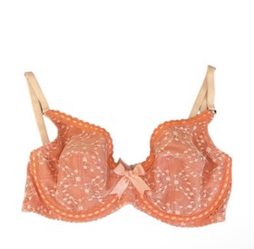 Agent Provocateur Bra Size 32D