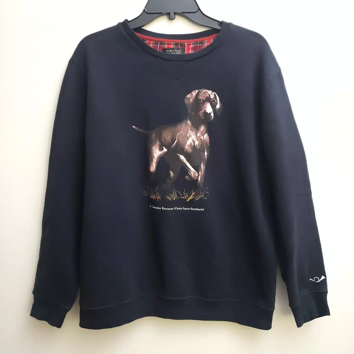 Zara man sweatshirt top