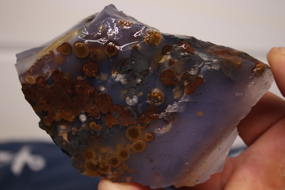 1LB Blue Ice Polka Dot Agate. Madras Oregon Lapidary Rough eBay