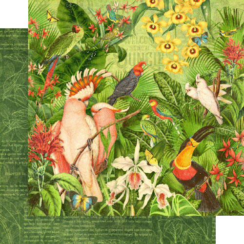 GRAFIK 45 "LOST IN PARADISE" 8 (12X12 PAPIERE TROPICAL RETIRED SCRAPJACK'S PLACE - Bild 6 von 9